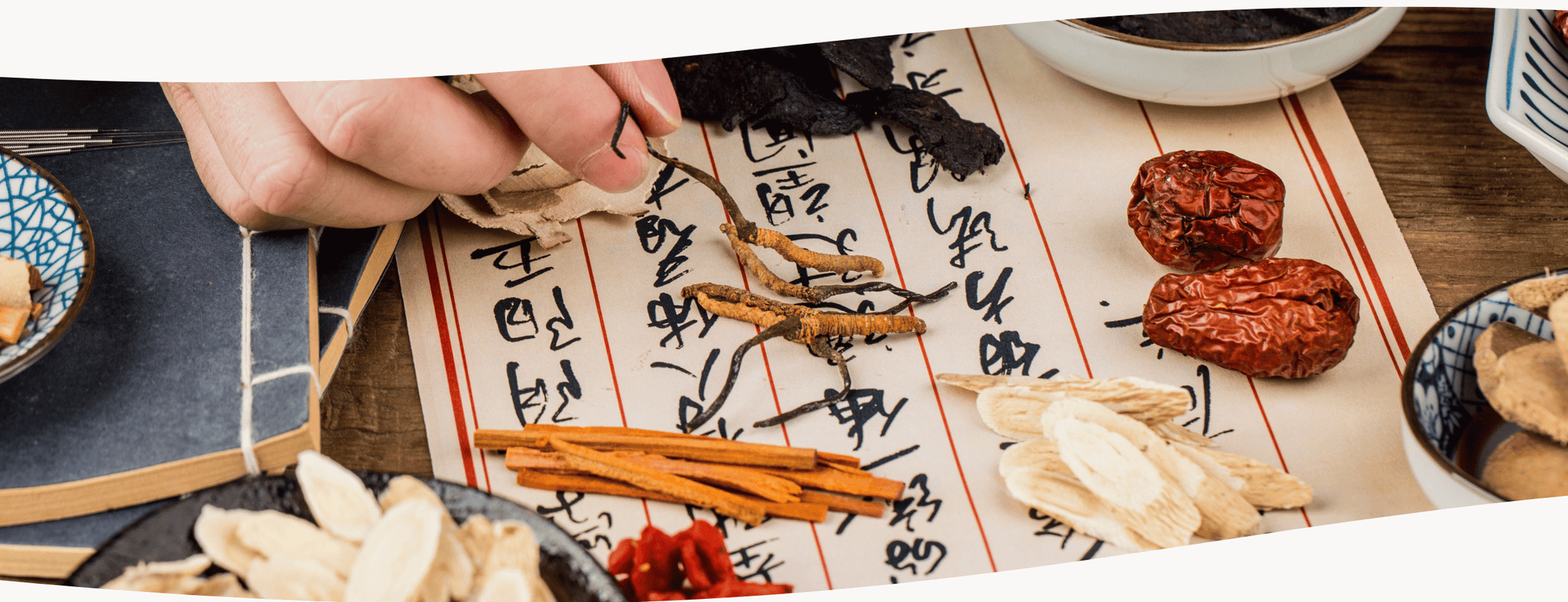 La Medicina Tradicional China y los Hongos Funcionales: Un Vínculo Ancestral y Moderno