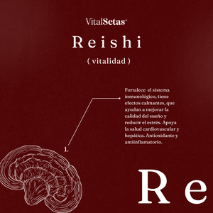 Cápsulas de Reishi VitalSetas