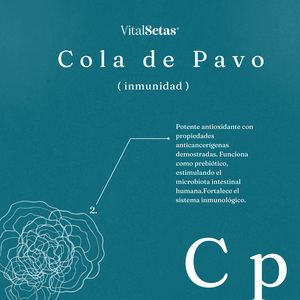 Cápsulas de Cola de Pavo VitalSetas