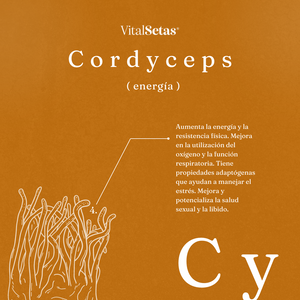 Cápsulas de Cordyceps VitalSetas