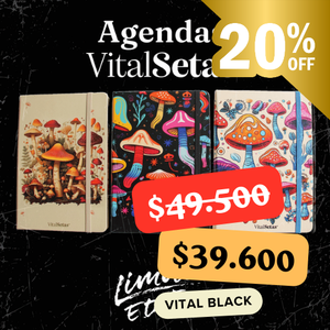 Agenda VitalSetas