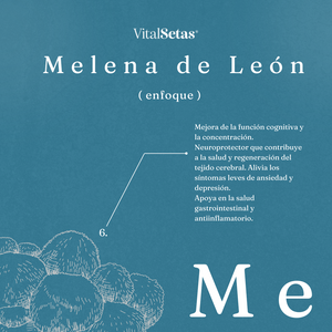 Cápsulas de Melena de León VitalSetas