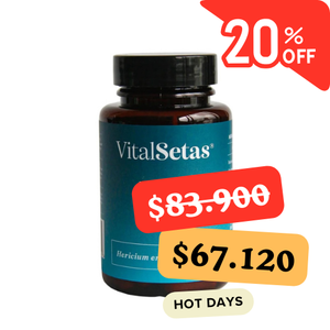 Cápsulas de Melena de León VitalSetas