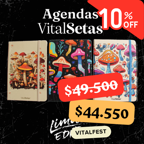 Agenda VitalSetas