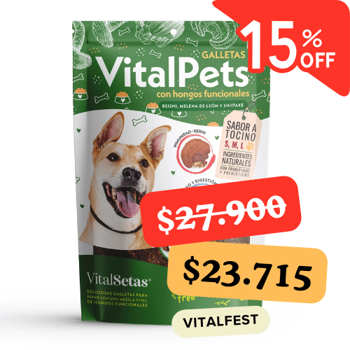 Galletas para perros con hongos funcionales: VitalPets