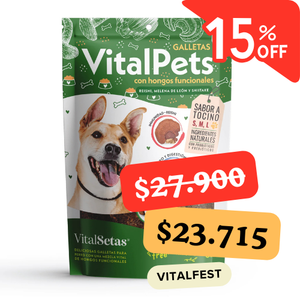 Galletas para perros con hongos funcionales: VitalPets