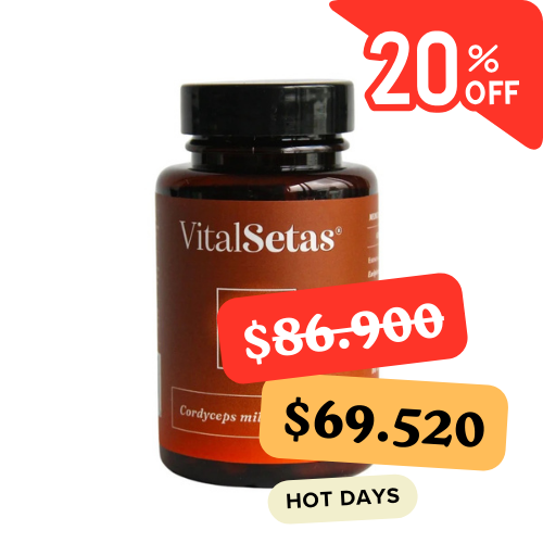 Cápsulas de Cordyceps VitalSetas