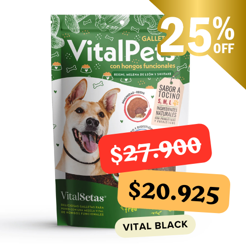 Galletas para perros con hongos funcionales: VitalPets