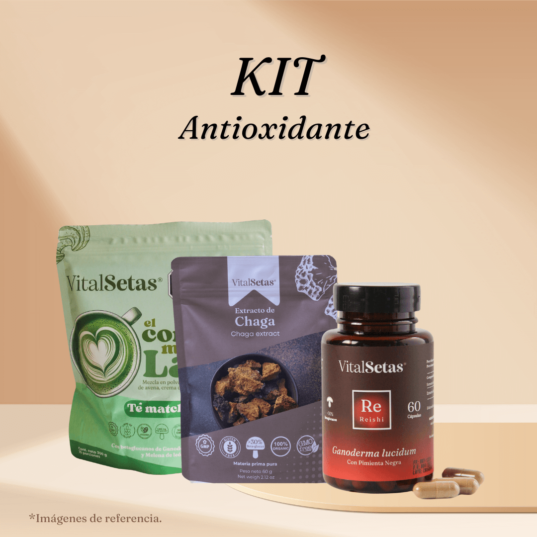 Kit Antioxidante