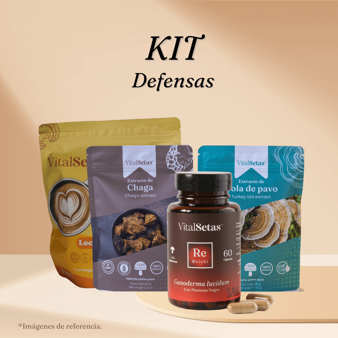 Kit Defensas