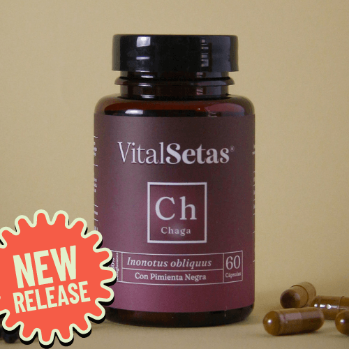 Cápsulas de Chaga VitalSetas