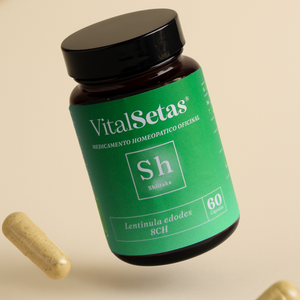 Cápsulas de Shiitake VitalSetas