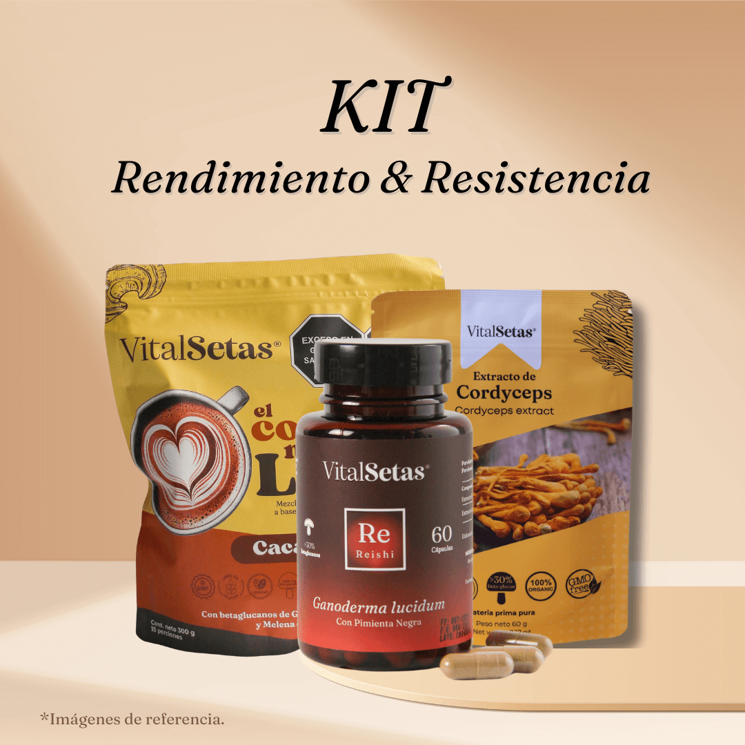 Kit Rendimiento y Resistencia