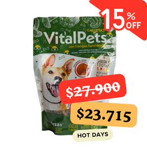 Galletas para perros con hongos funcionales: VitalPets