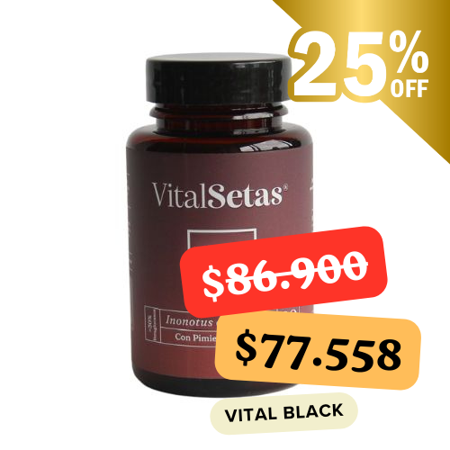 Cápsulas de Chaga VitalSetas