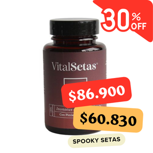 Cápsulas de Chaga VitalSetas
