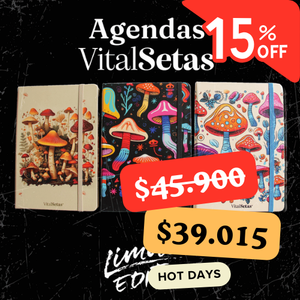 Agenda VitalSetas