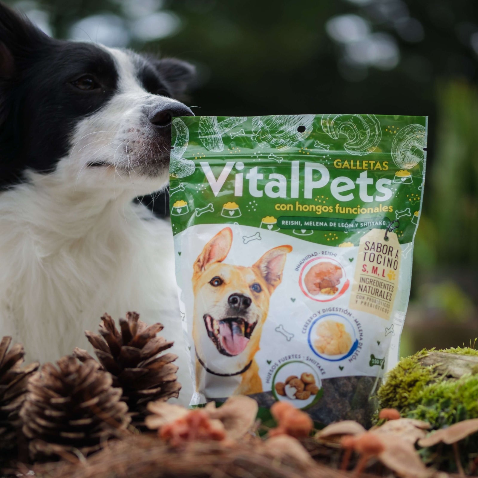 Galletas para perros con hongos funcionales: VitalPets