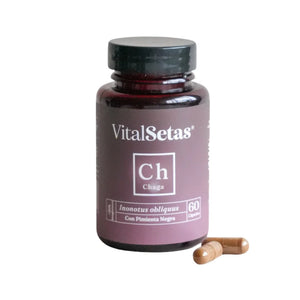 Cápsulas de Chaga VitalSetas