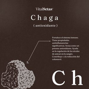 Cápsulas de Chaga VitalSetas