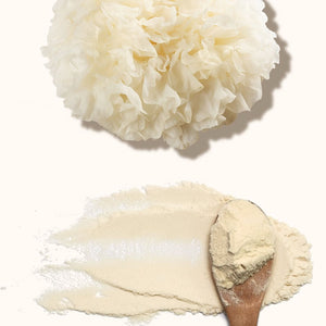 Cápsulas de Tremella VitalSetas