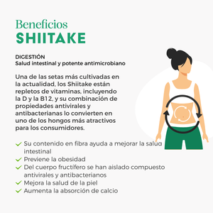 Shiitake Seleccionado VitalSetas® Fresh